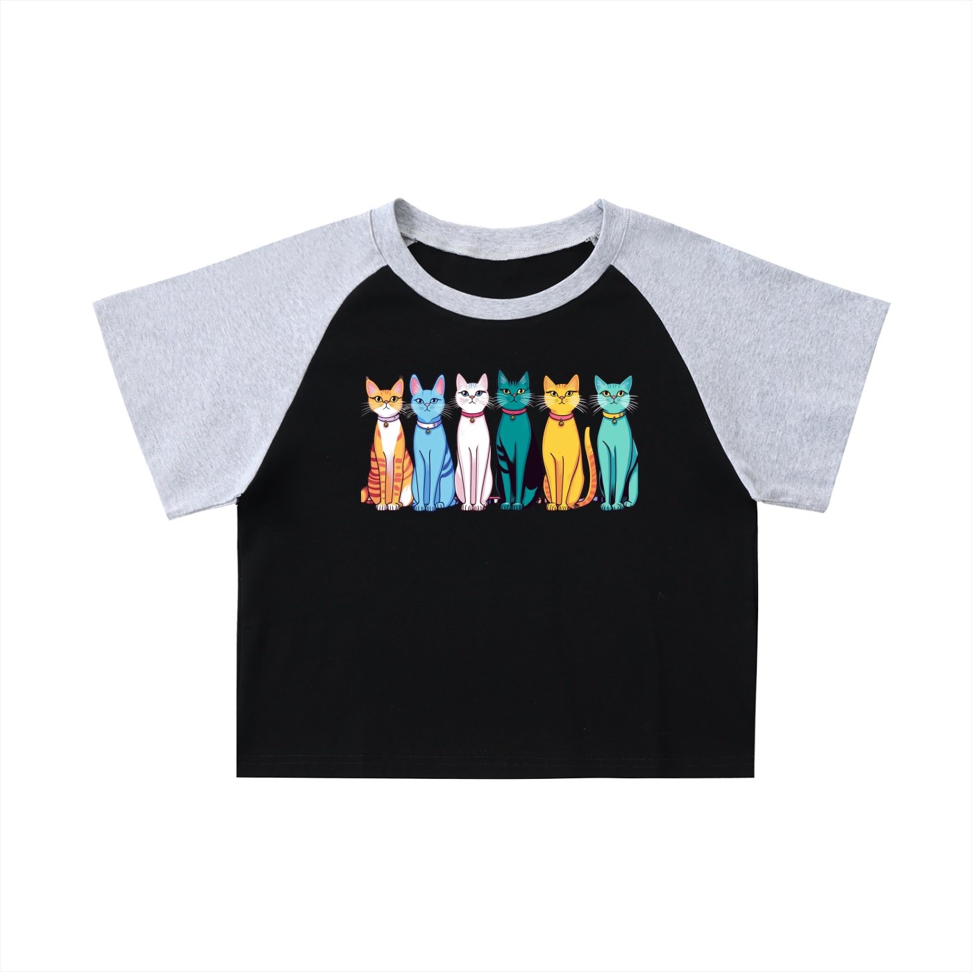 Color-Blocked Raglan Sleeve Crop Top